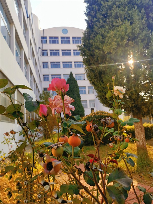 1 时光有序，花开不厌.jpg