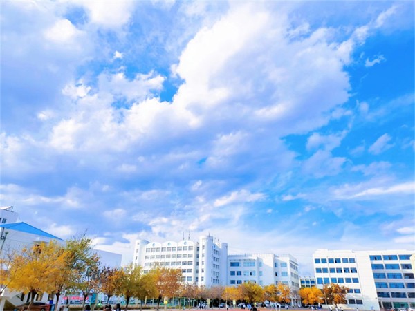 5 蓝天白云树叶黄.jpg