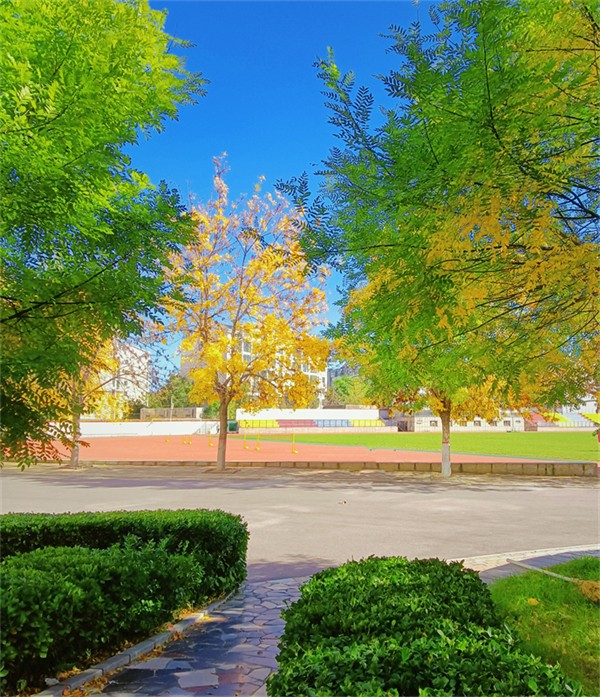 7 石板阶上阅青黄.jpg