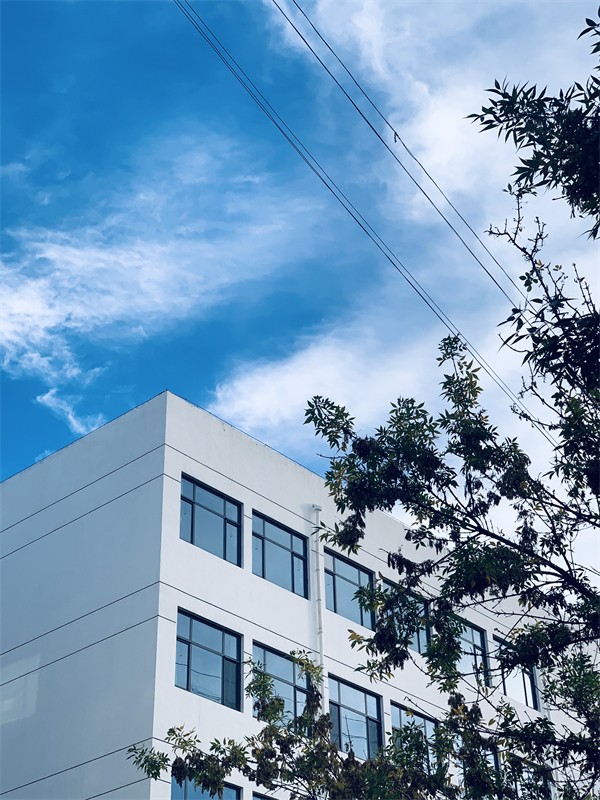 10 是坚定在求知路上的我们.jpg